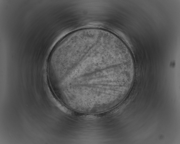 X0000089381235200707131651