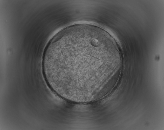 X0000089381237200707131651