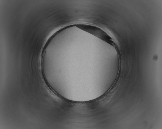 X0000089381238200707131651