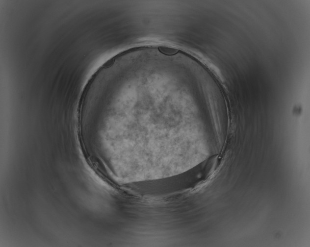 X0000089381239200707131651