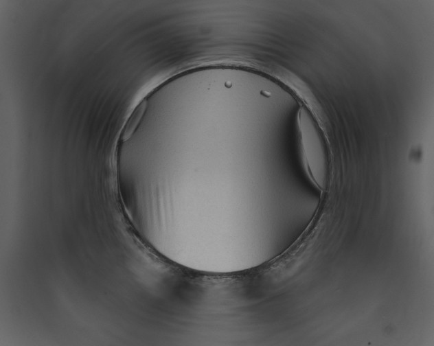 X0000089381242200707131651