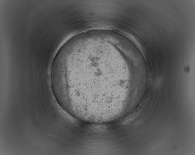 X0000089381243200707131652