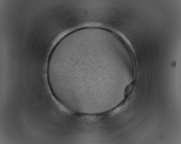 X0000089381245200707131652