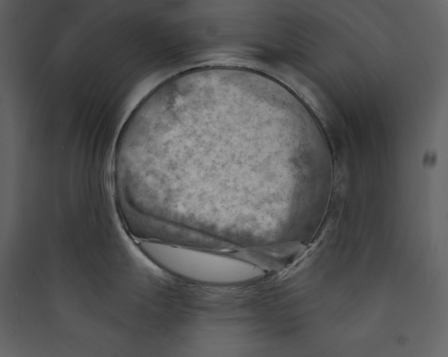 X0000089381247200707131652