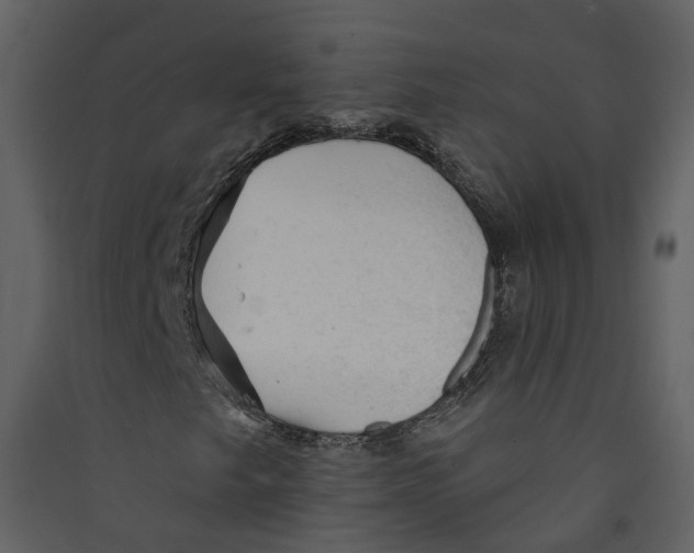 X0000089381249200707131651