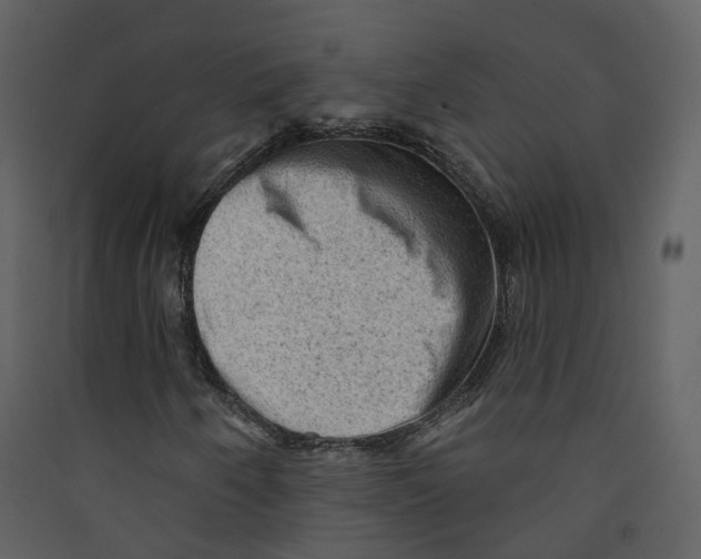 X0000089381250200707131651