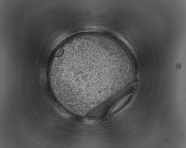 X0000089381259200707131651