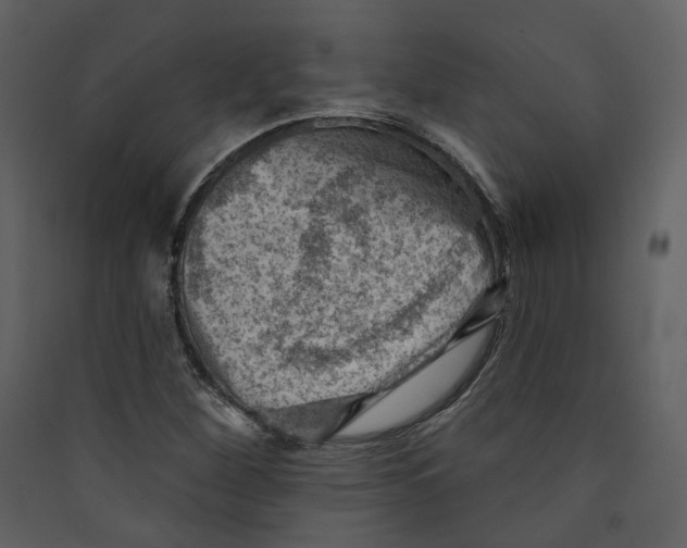 X0000089381260200707131651