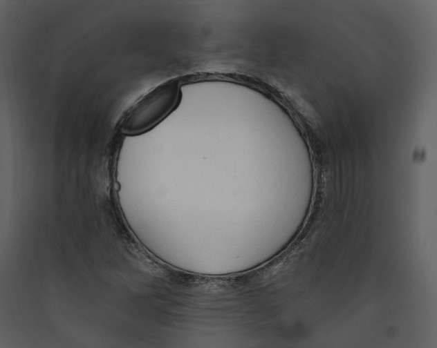 X0000089381262200707131651