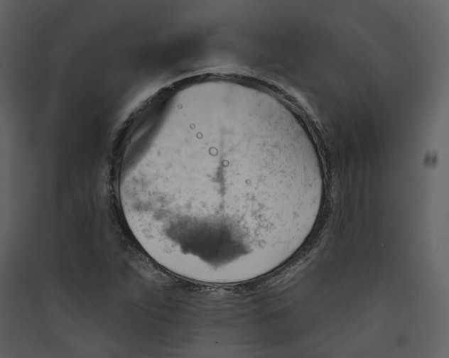 X0000089381263200707131651