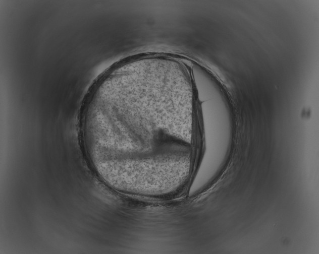 X0000089381264200707131651