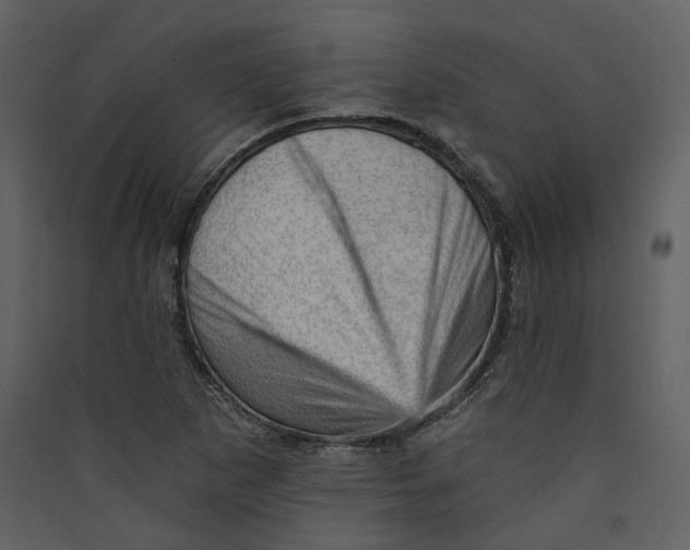 X0000089381265200707131651