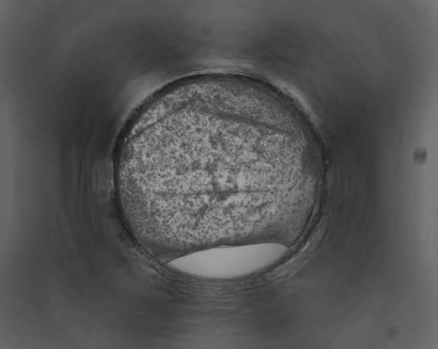 X0000089381267200707131651