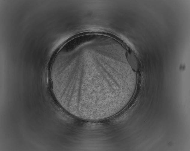 X0000089381269200707131651