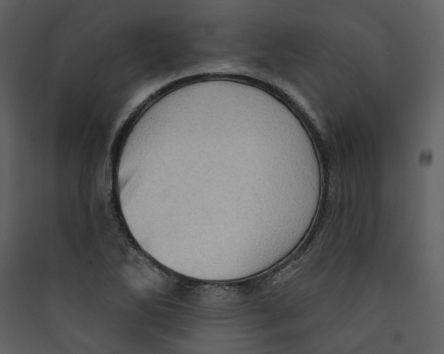 X0000089381270200707131651