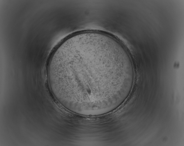 X0000089381271200707131651