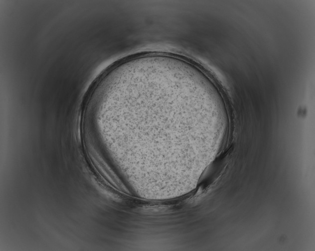 X0000089381272200707131651