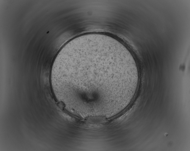 X0000089381273200707131651