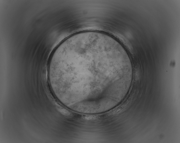 X0000089381274200707131651