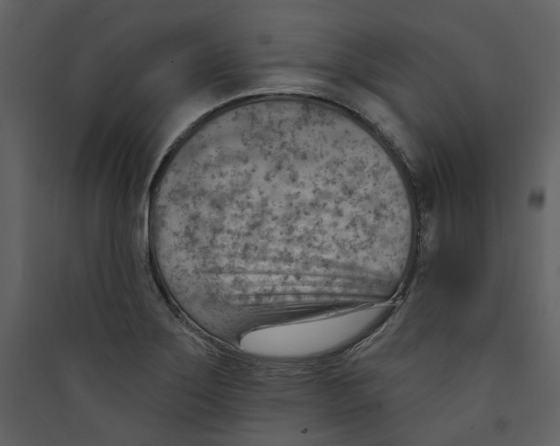 X0000089381275200707131651