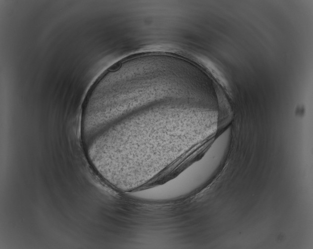 X0000089381276200707131651