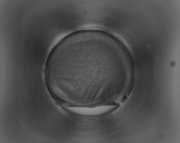 X0000089381277200707131651