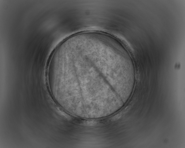 X0000089381278200707131651