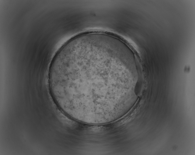 X0000089381279200707131651