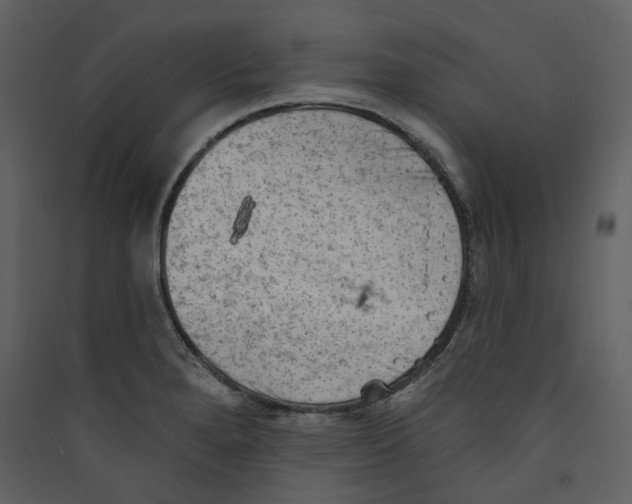 X0000089381280200707131651