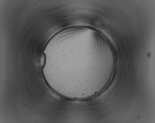 X0000089381281200707131651