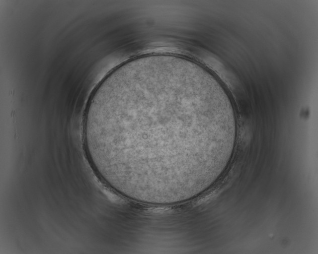 X0000089381282200707131651