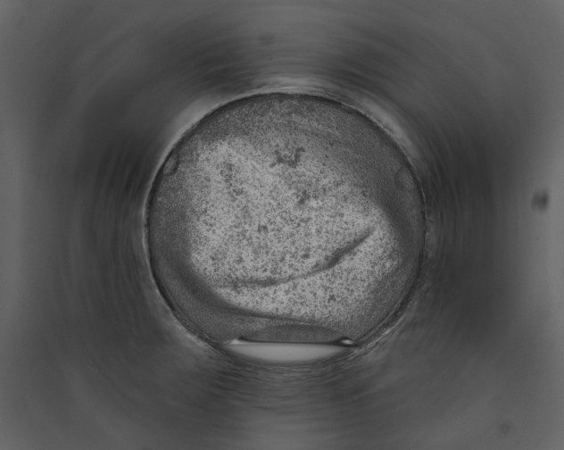 X0000089381283200707131651