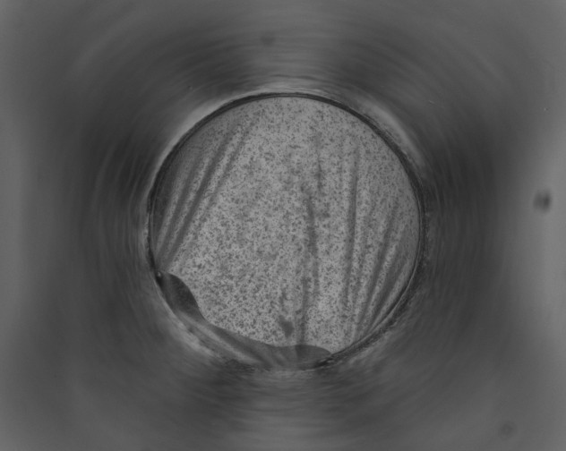 X0000089381284200707131651