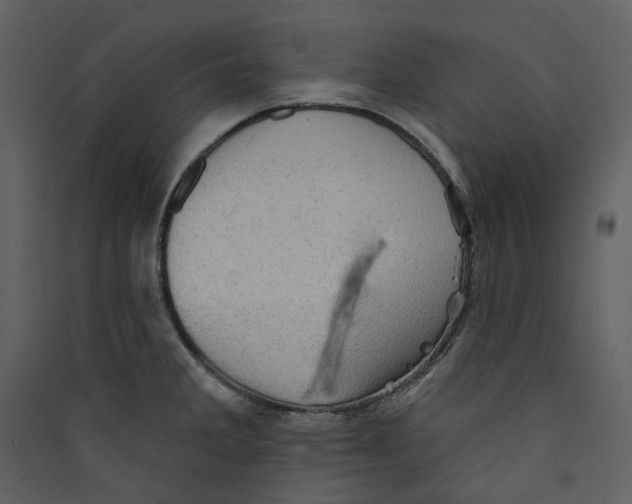 X0000089381285200707131651