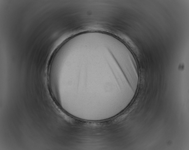 X0000089381286200707131651