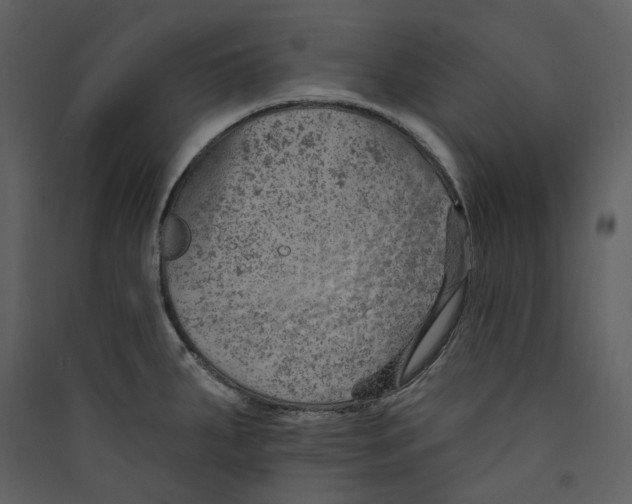 X0000089381287200707131650