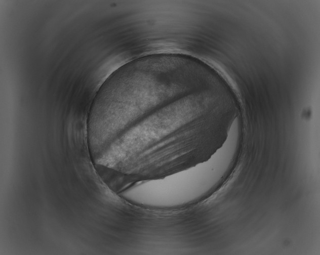 X0000089381289200707131650