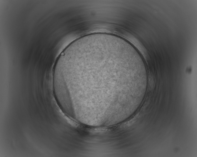 X0000089381290200707131650