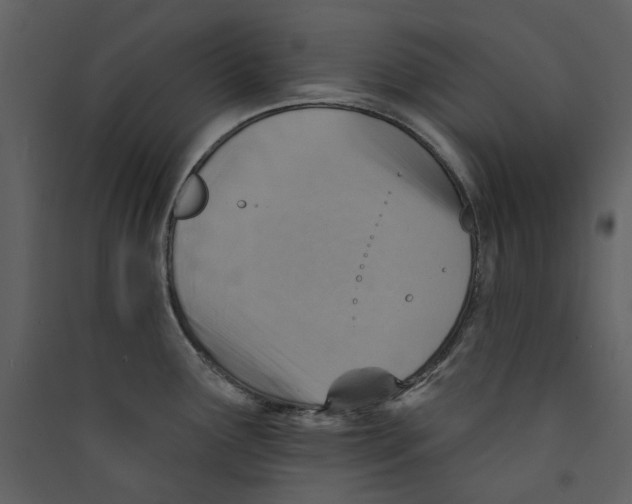 X0000089381291200707131650