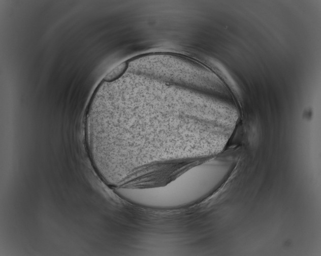 X0000089381292200707131650