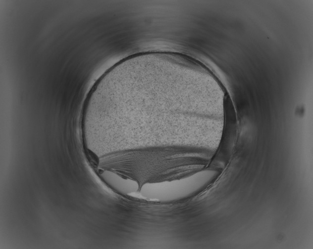 X0000089381293200707131650