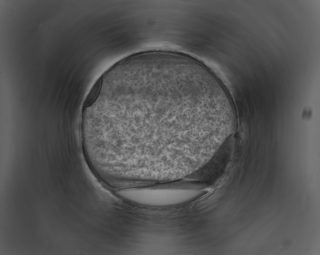 X0000089381295200707131650