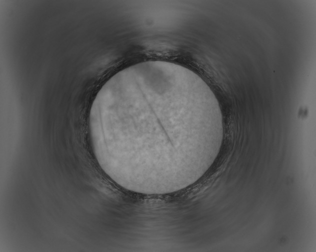 X0000089381297200707131650