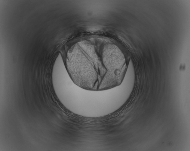 X0000089381298200707131650