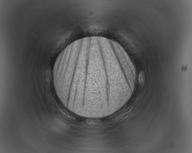 X0000089381299200707131650