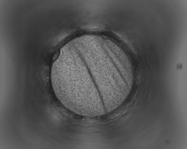 X0000089381301200707131650