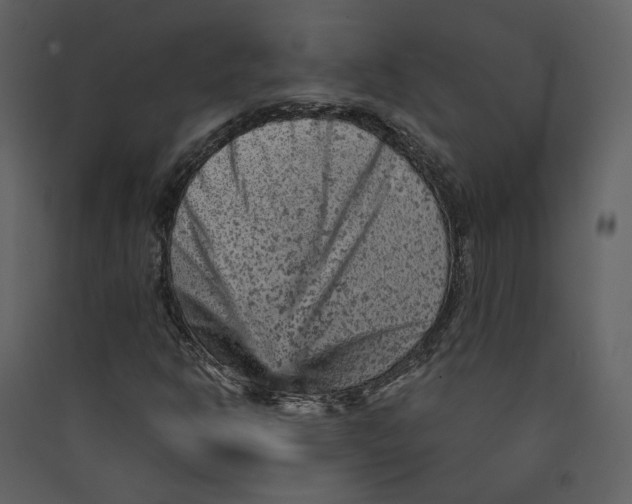 X0000089381302200707131650