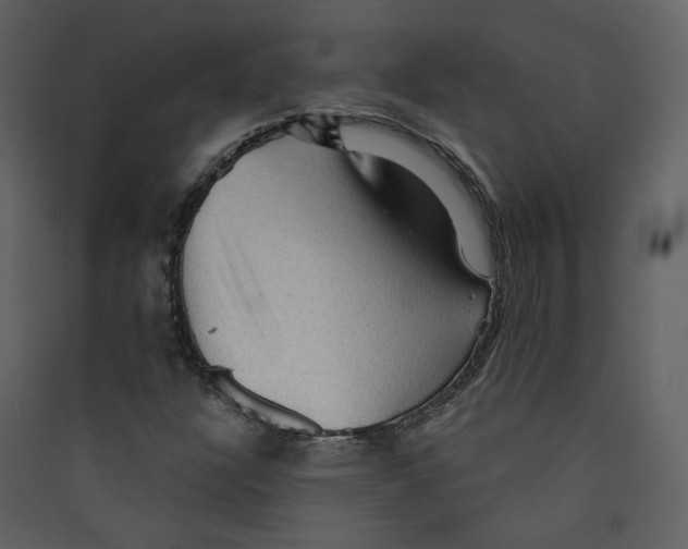 X0000089381304200707131650