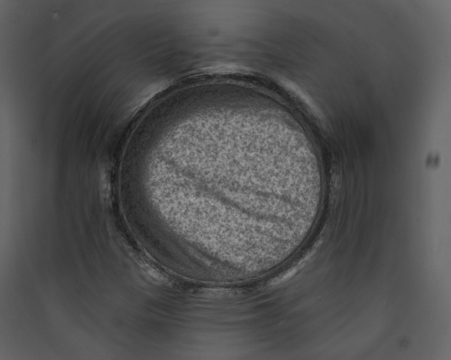 X0000089381305200707131650