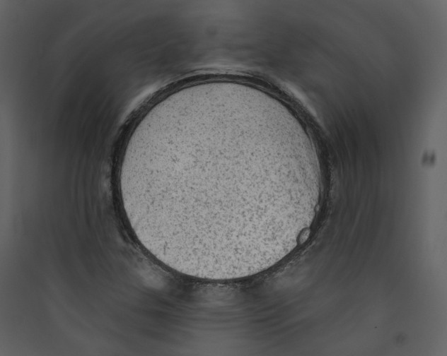 X0000089381307200707131650